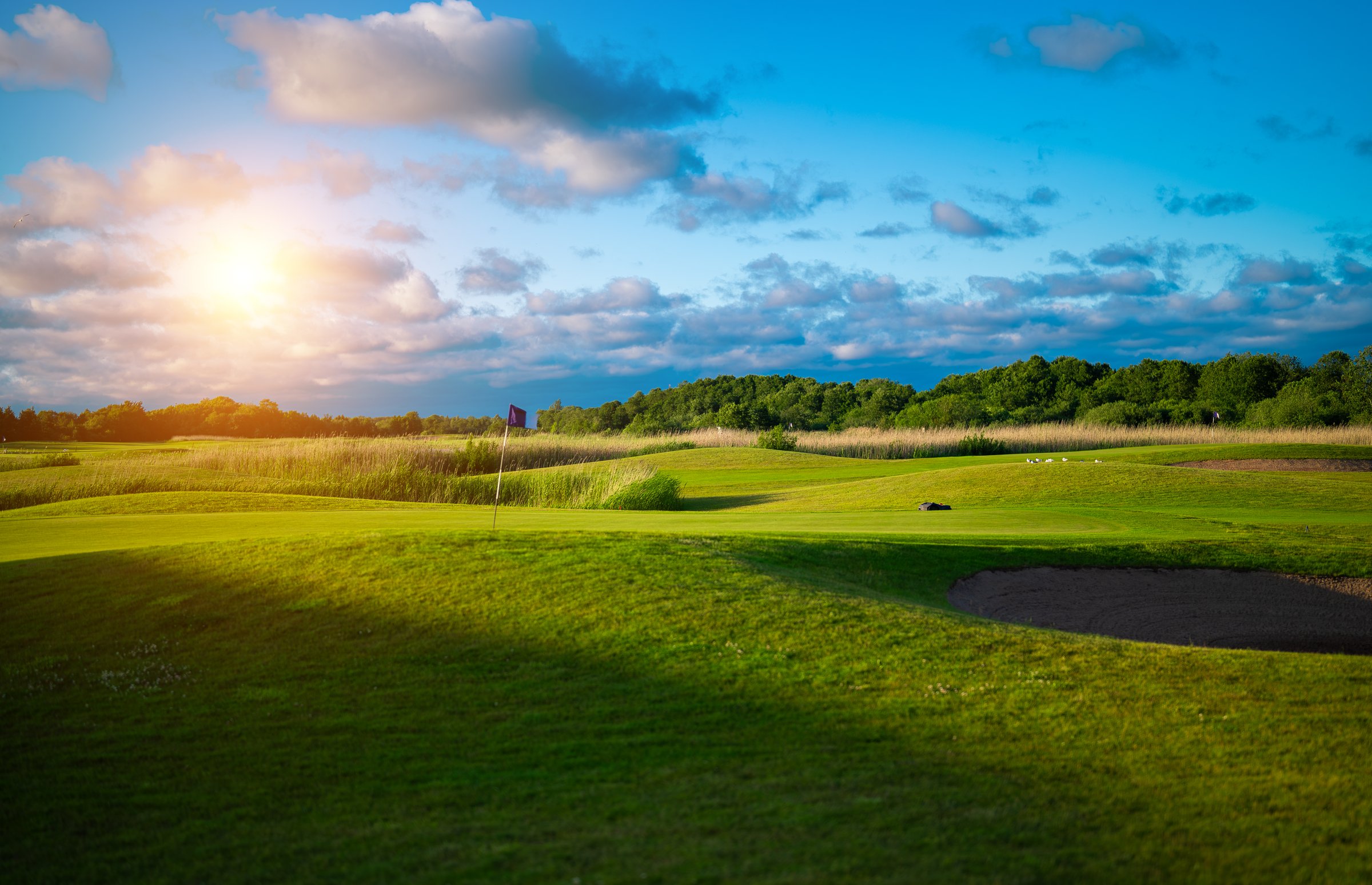 Green golf course landscape under blue sunny sky.
