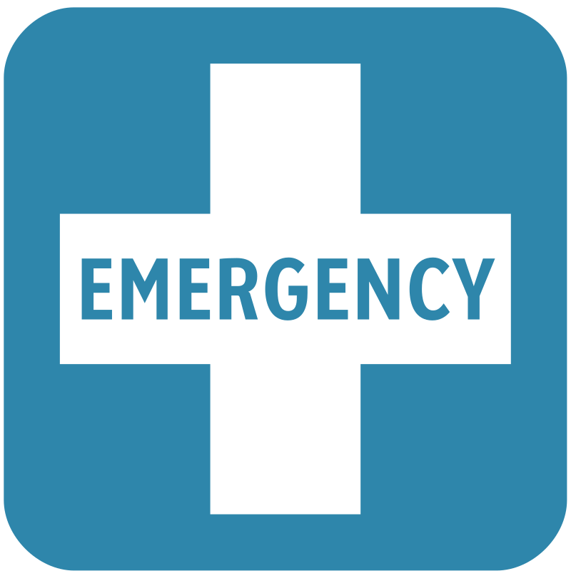 Emergency Services Fleet Management