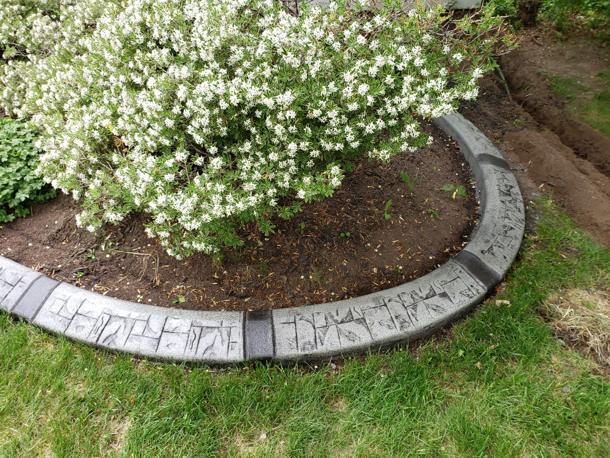 Creative Edge Curbing irrigation and sprinkler installation