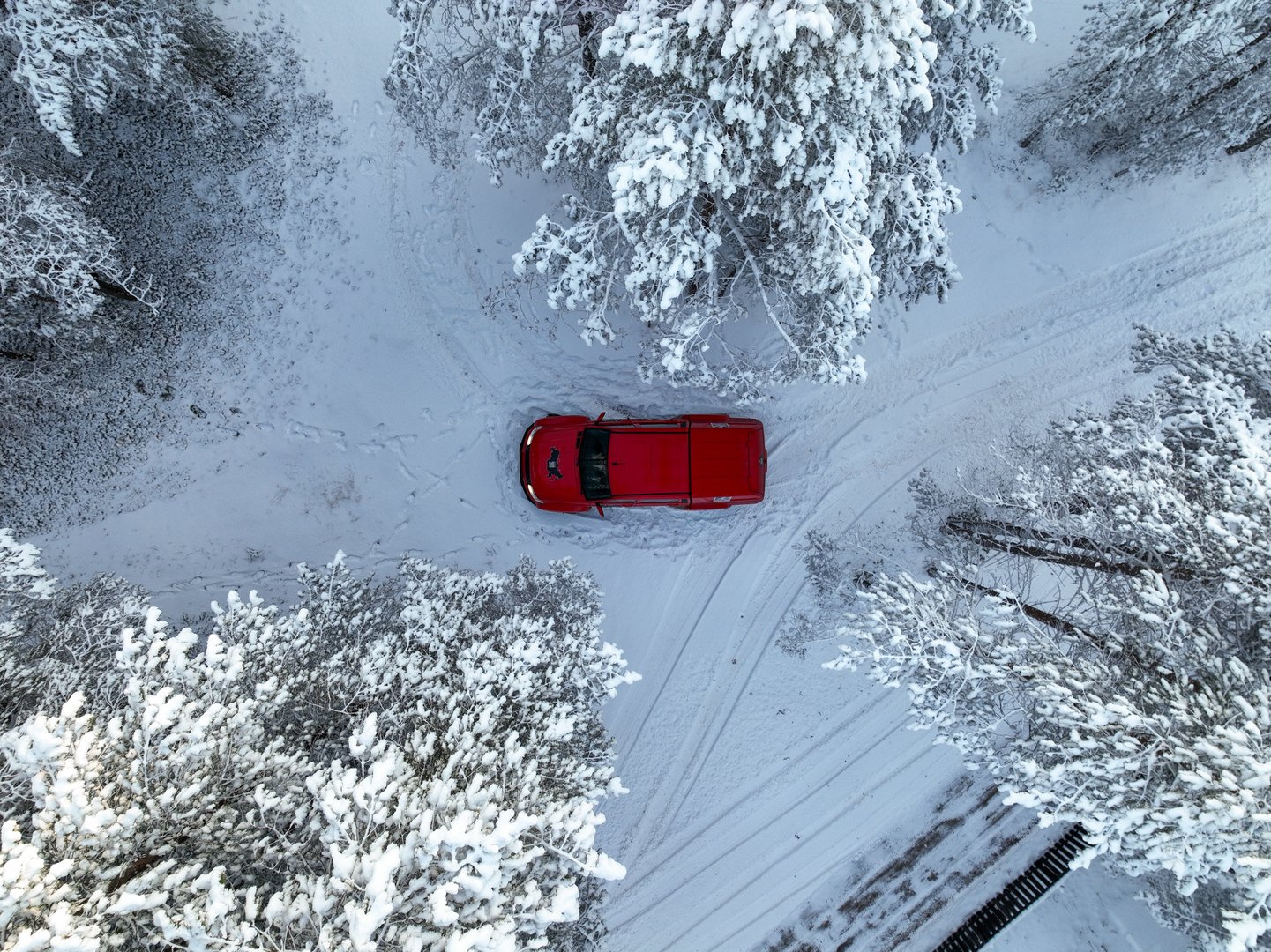 Republic of Karelia, Russia - December 13, 2024: A high-angle, top-down drone shot of a red pickup truck parked in the middle of a snow-covered forest trail surrounded by snow-laden pine trees