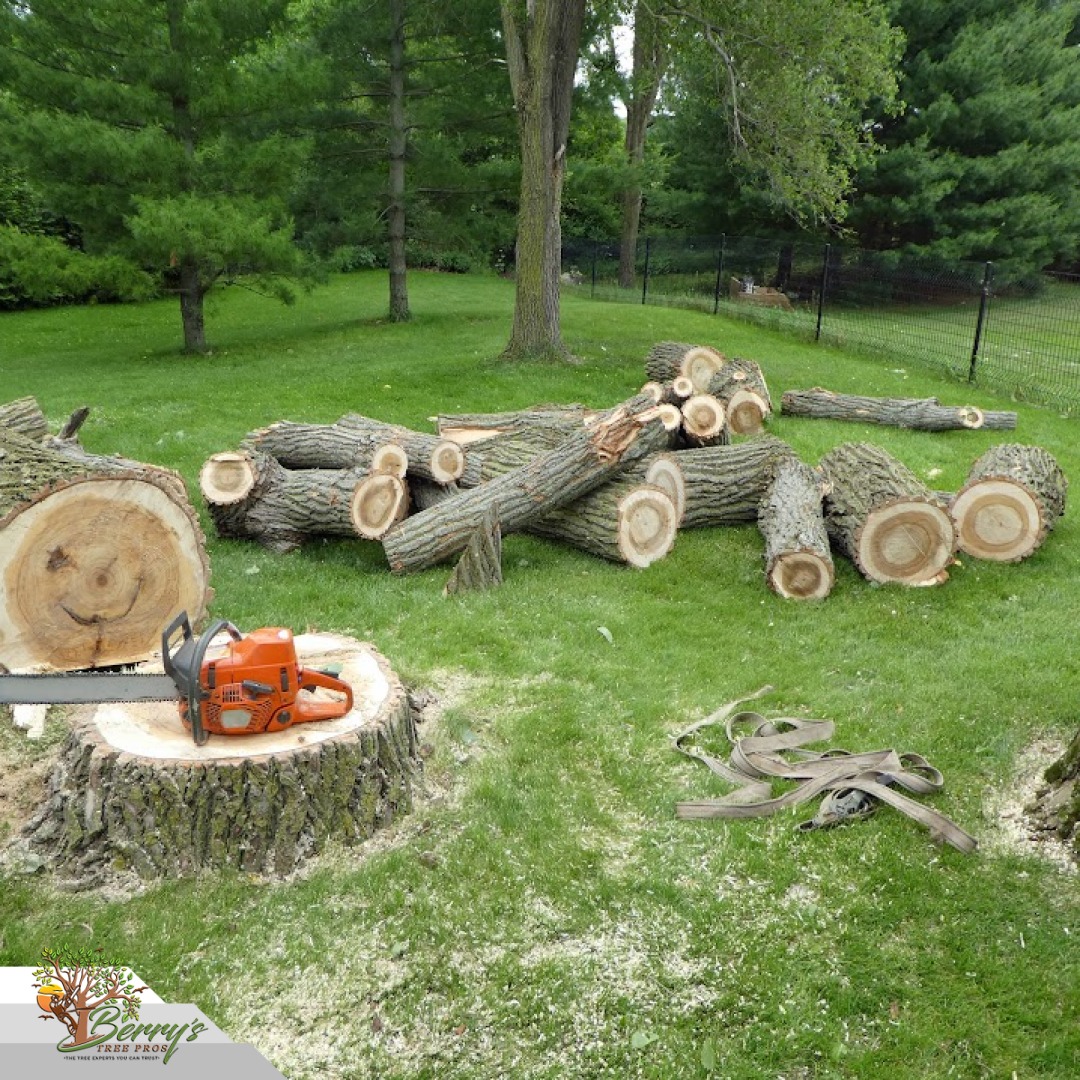 Berry's Tree Pro completed tree removal project