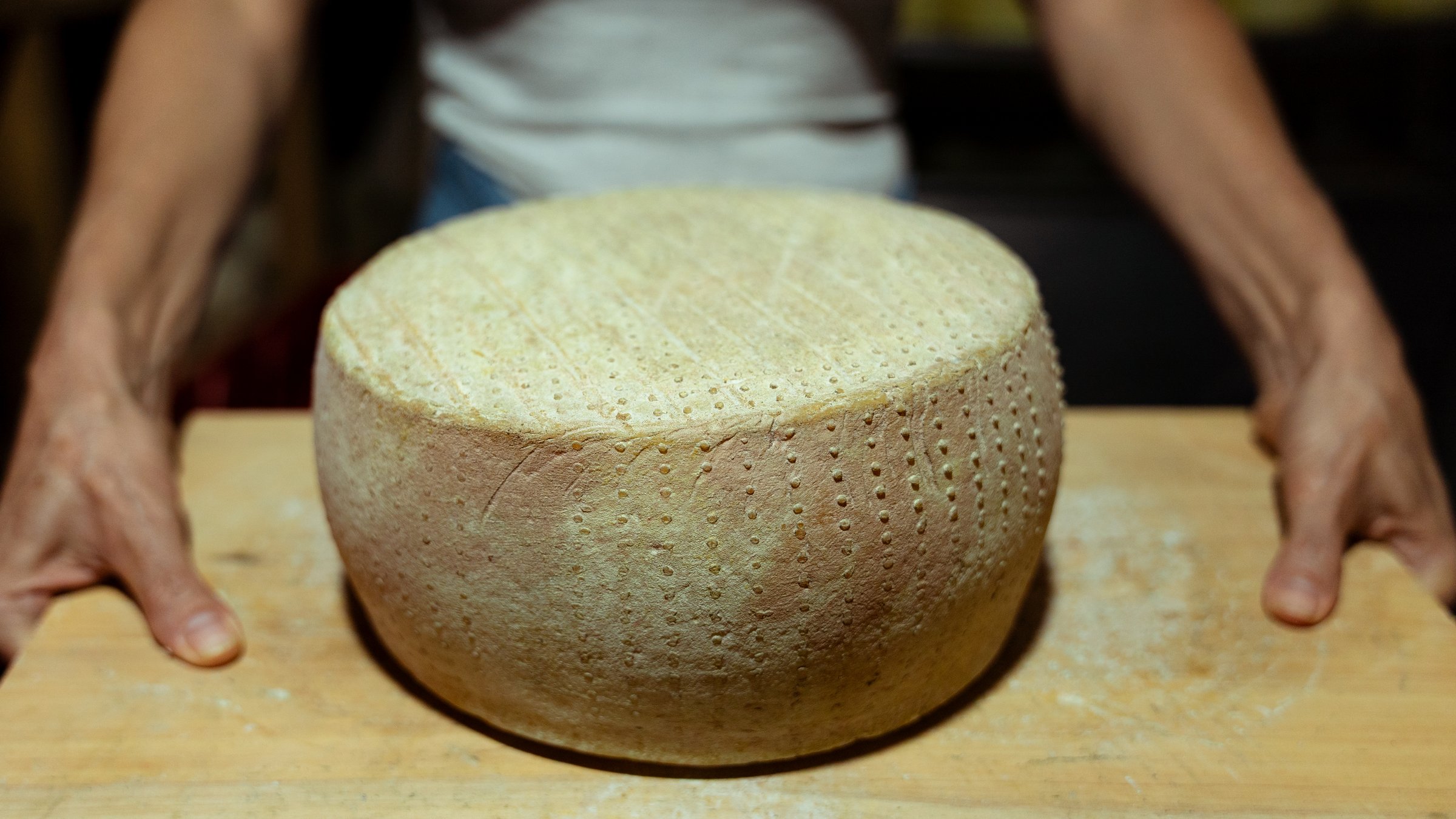 Cheesemaker presenting a wheel of fresh cheese in the dairy, showcasing the quality and craftsmanship