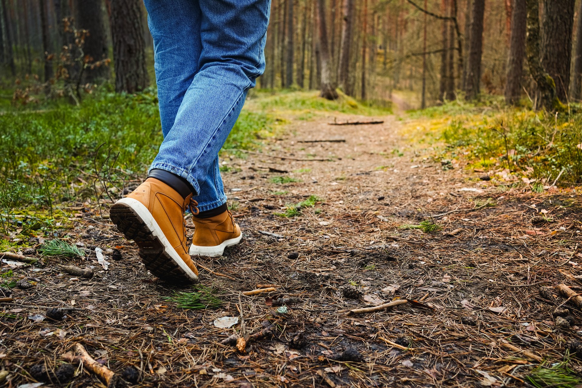 Close-up of a girlâs legs in jeans and hiking boots walking through a forest, path covered with pine needles, surrounded by pine trees, peaceful nature walkâ