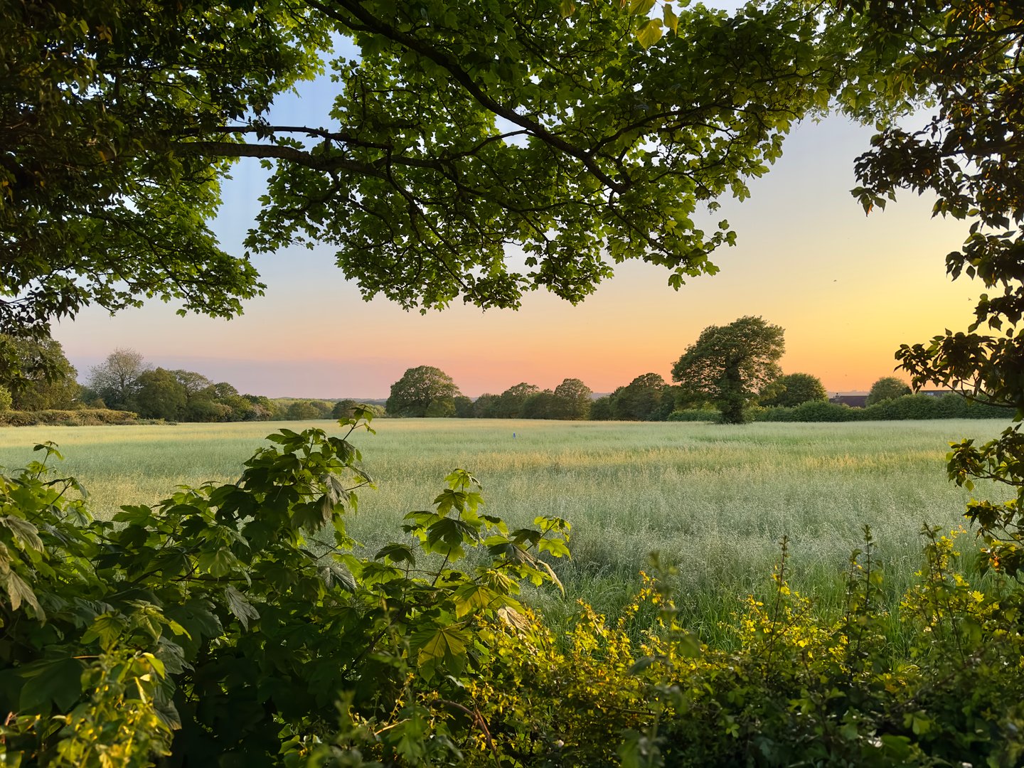 Scenic Irish Landscape