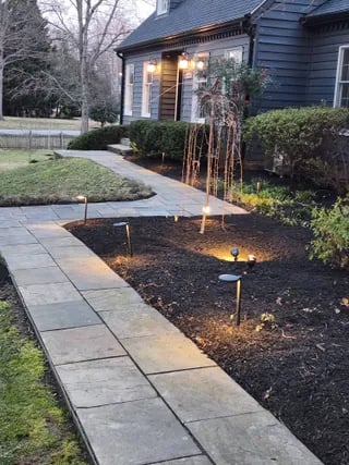 Garden with night lighting
