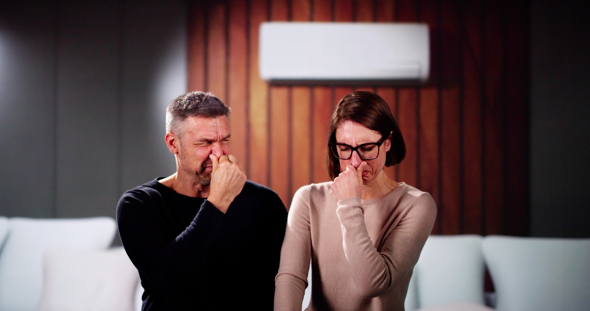 Bad Smell Or Odor From Air Conditioner In House