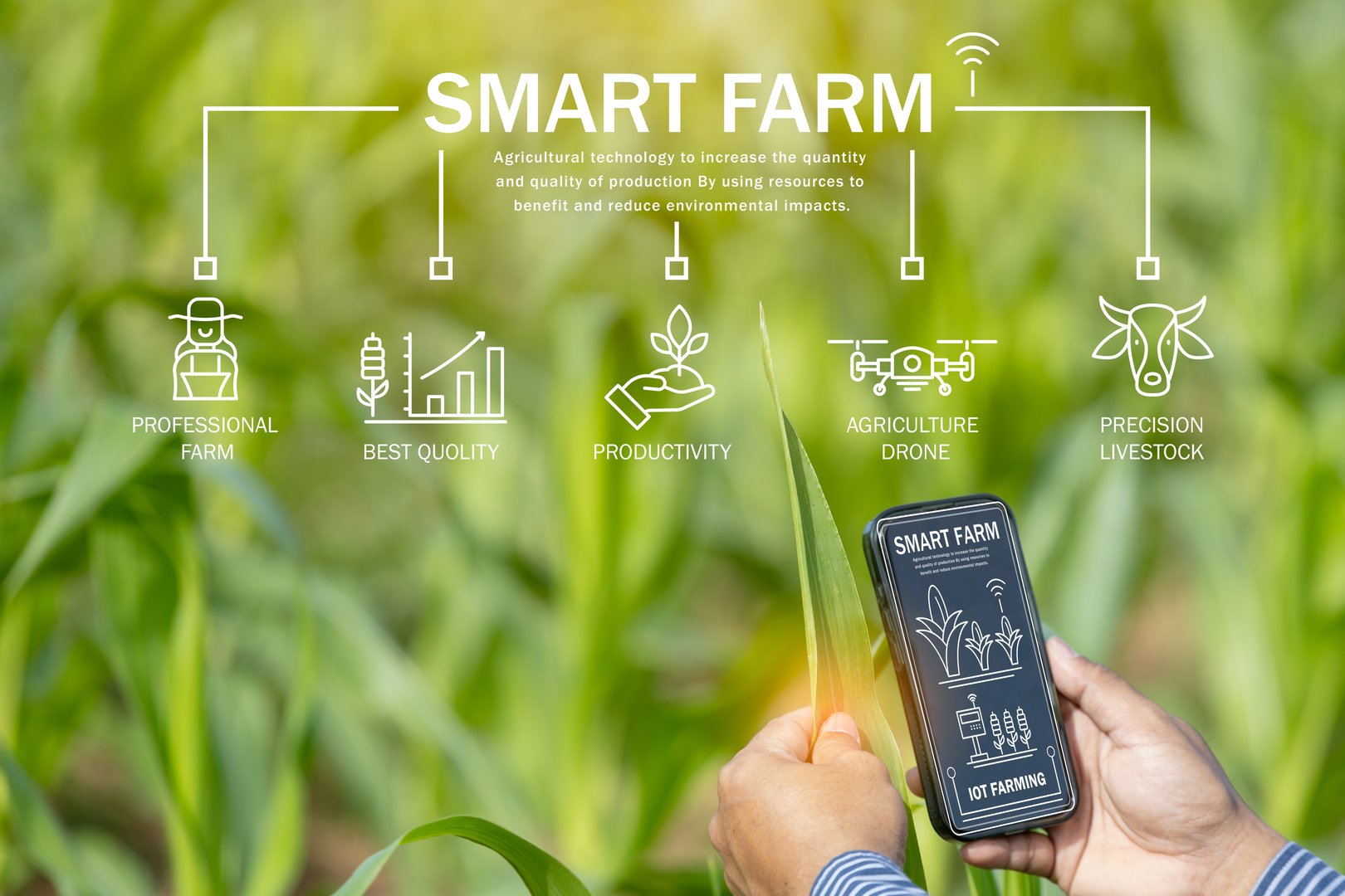 Smart Farm Technology: Farmer Using Digital Holographic Interface in Farm