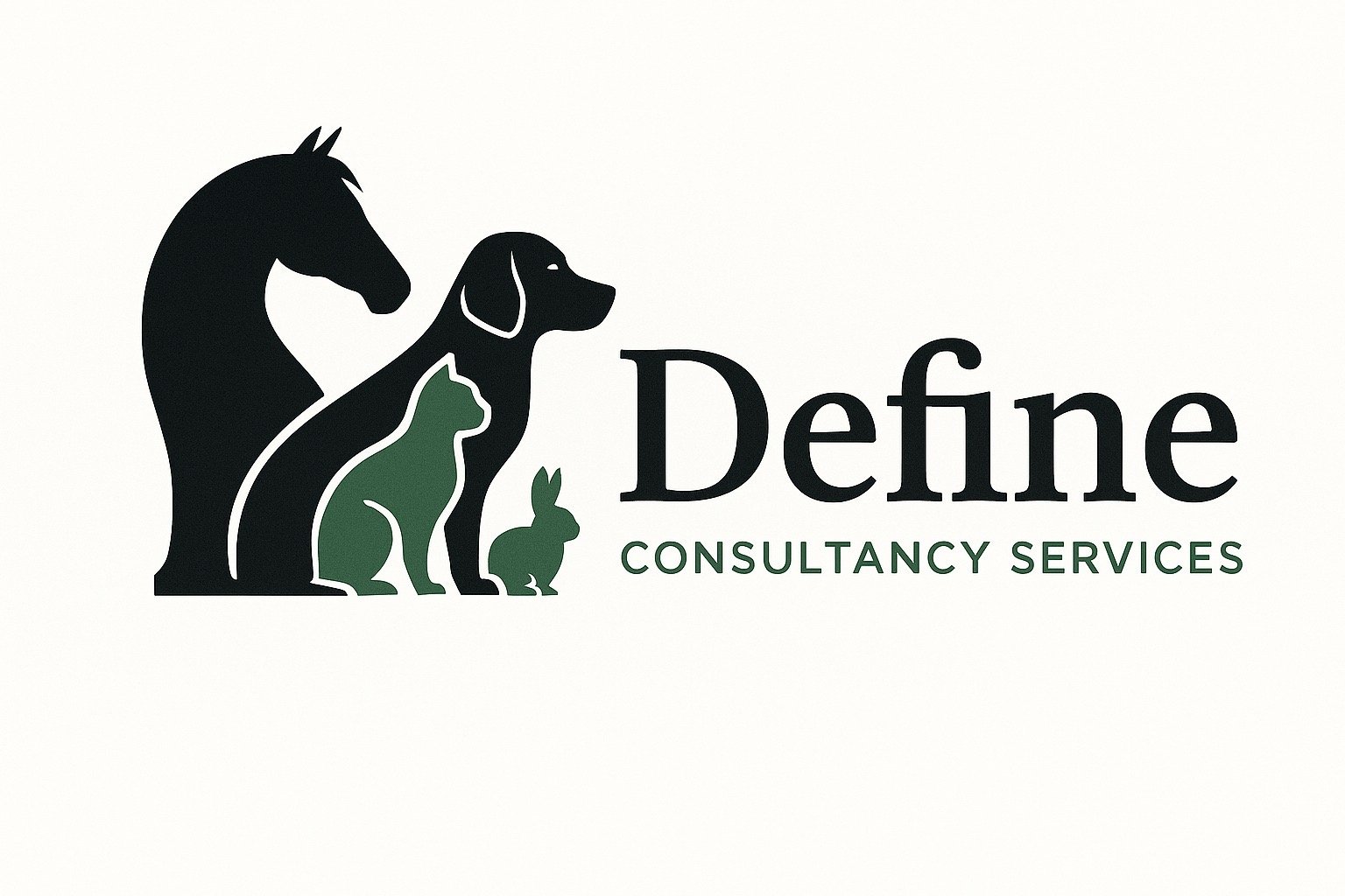 Define Consultancy Services
