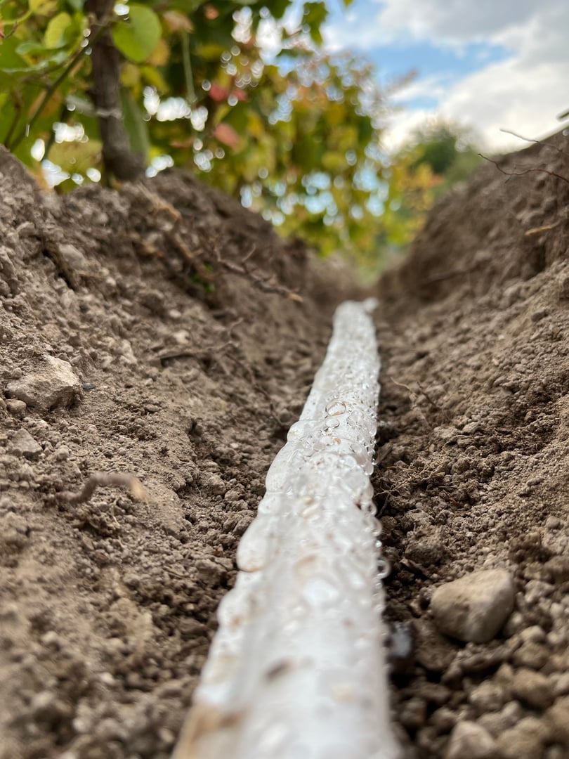 Agricultural field with irrigation system