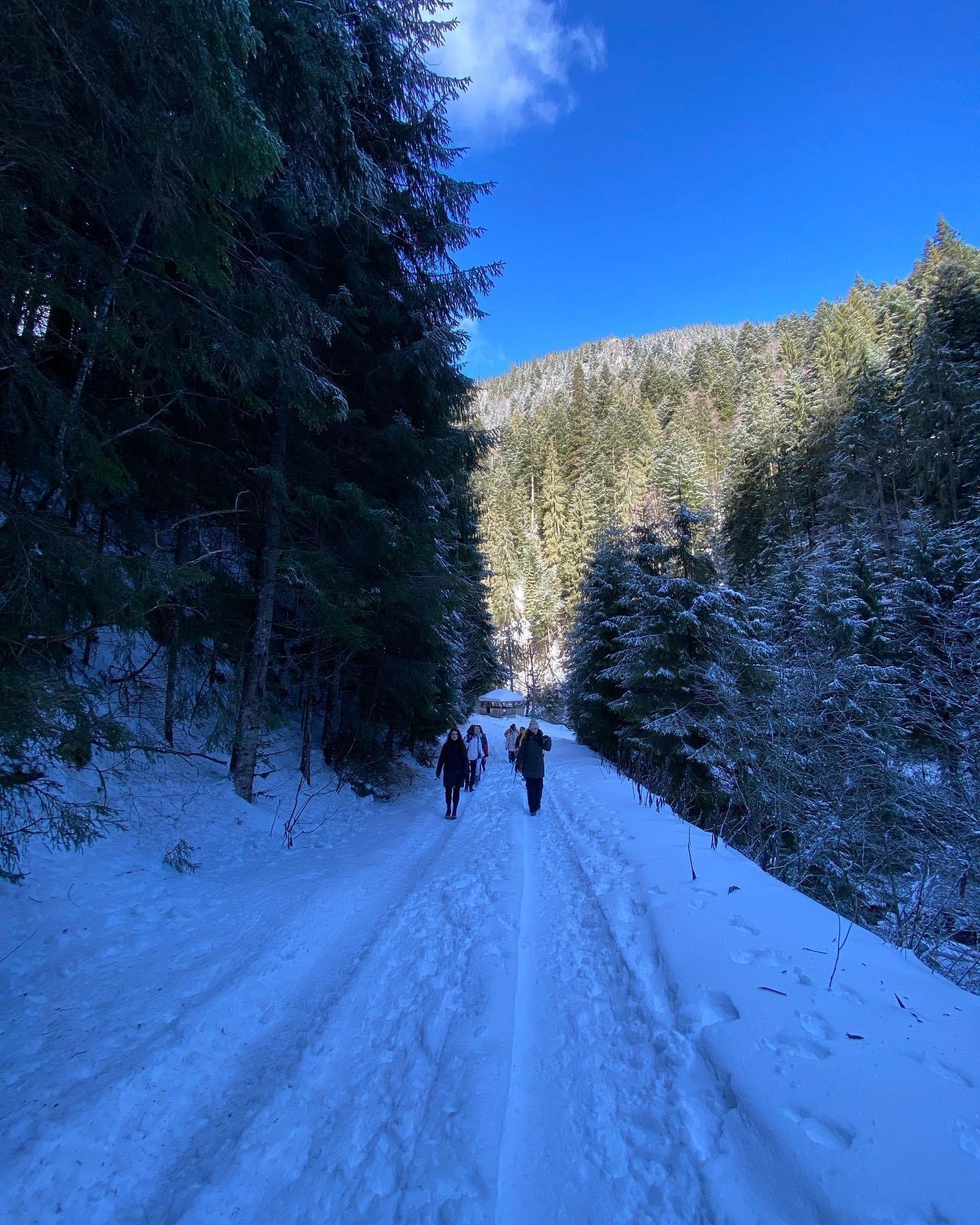 Clear your vision retreat