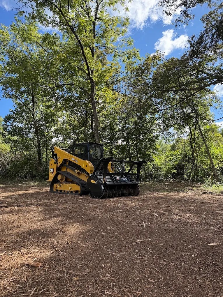 Land clearing project