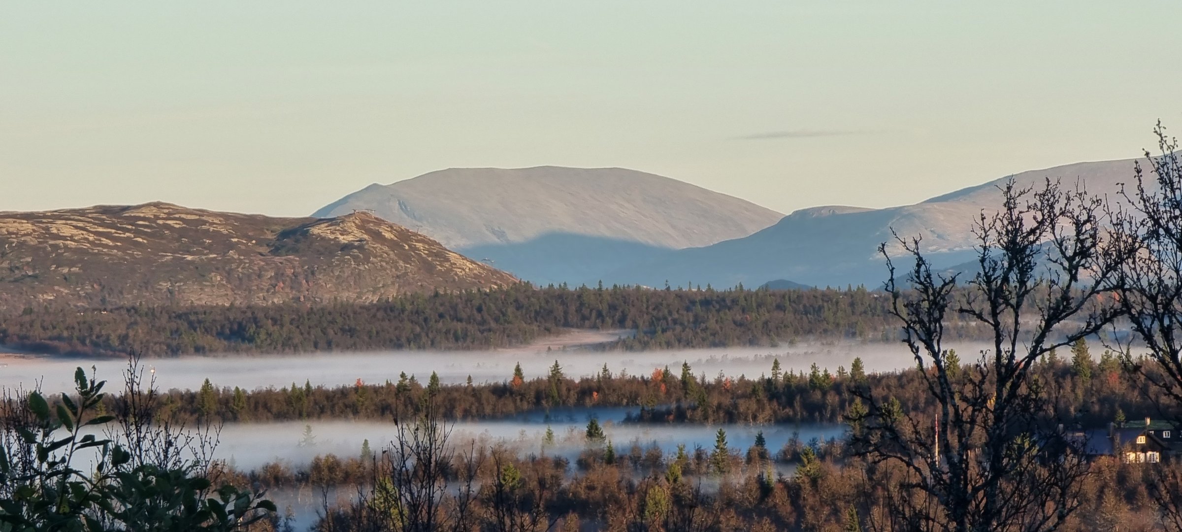 Snow-covered mountain range with pine forests in the foreground and a hazy sky in the background.