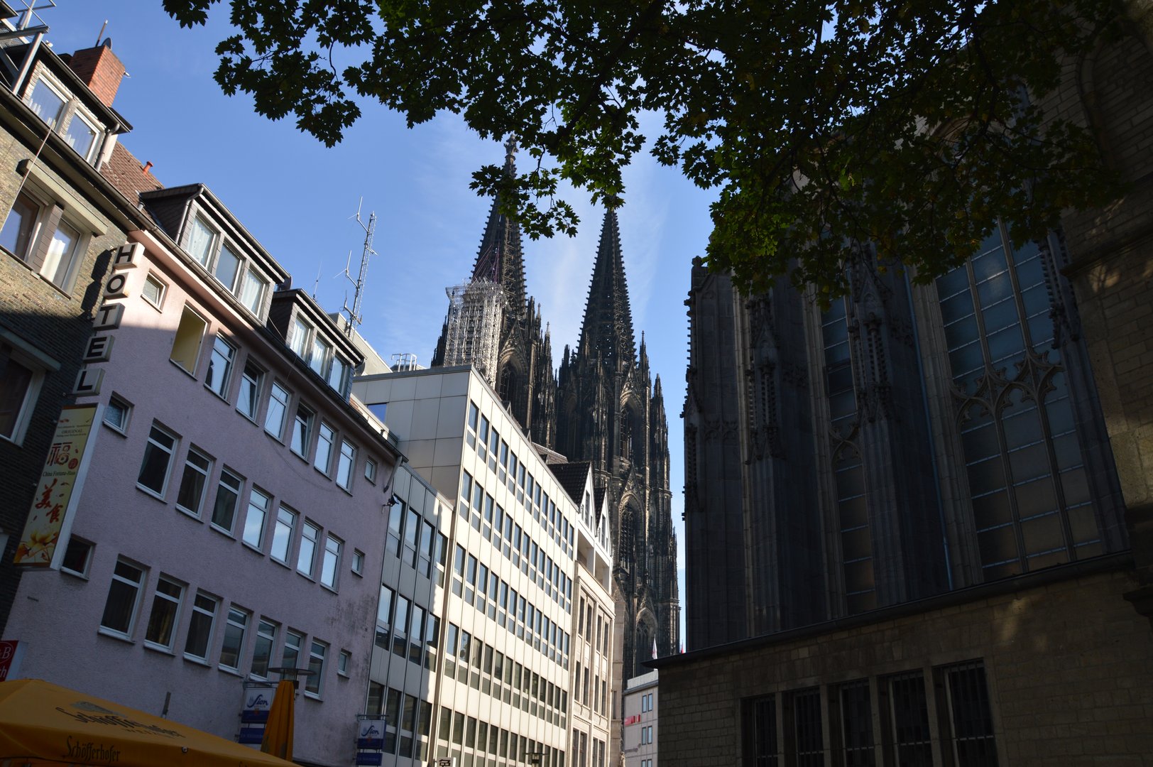 View of Cologne Cathedral spires framed by trees, with surrounding buildings in the foreground under a clear sky.