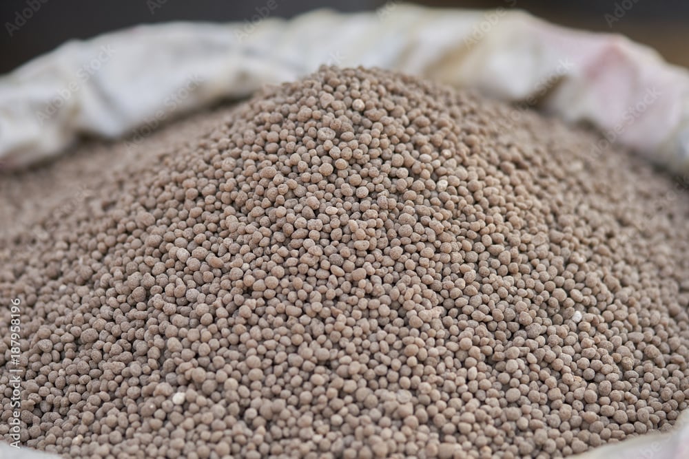 A large pile of small, round granules, possibly fertilizer or seeds, displayed in a shallow container.
