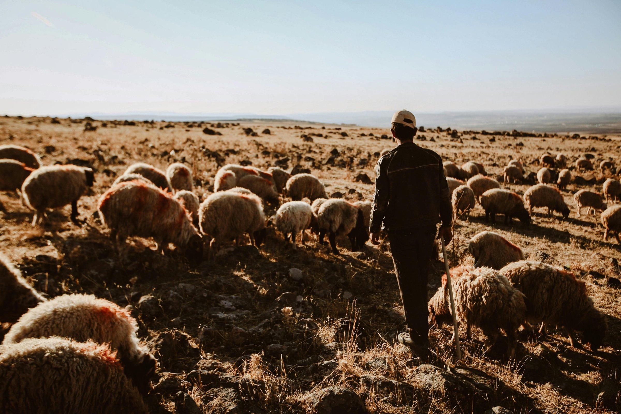 Agri-Tech Impact
