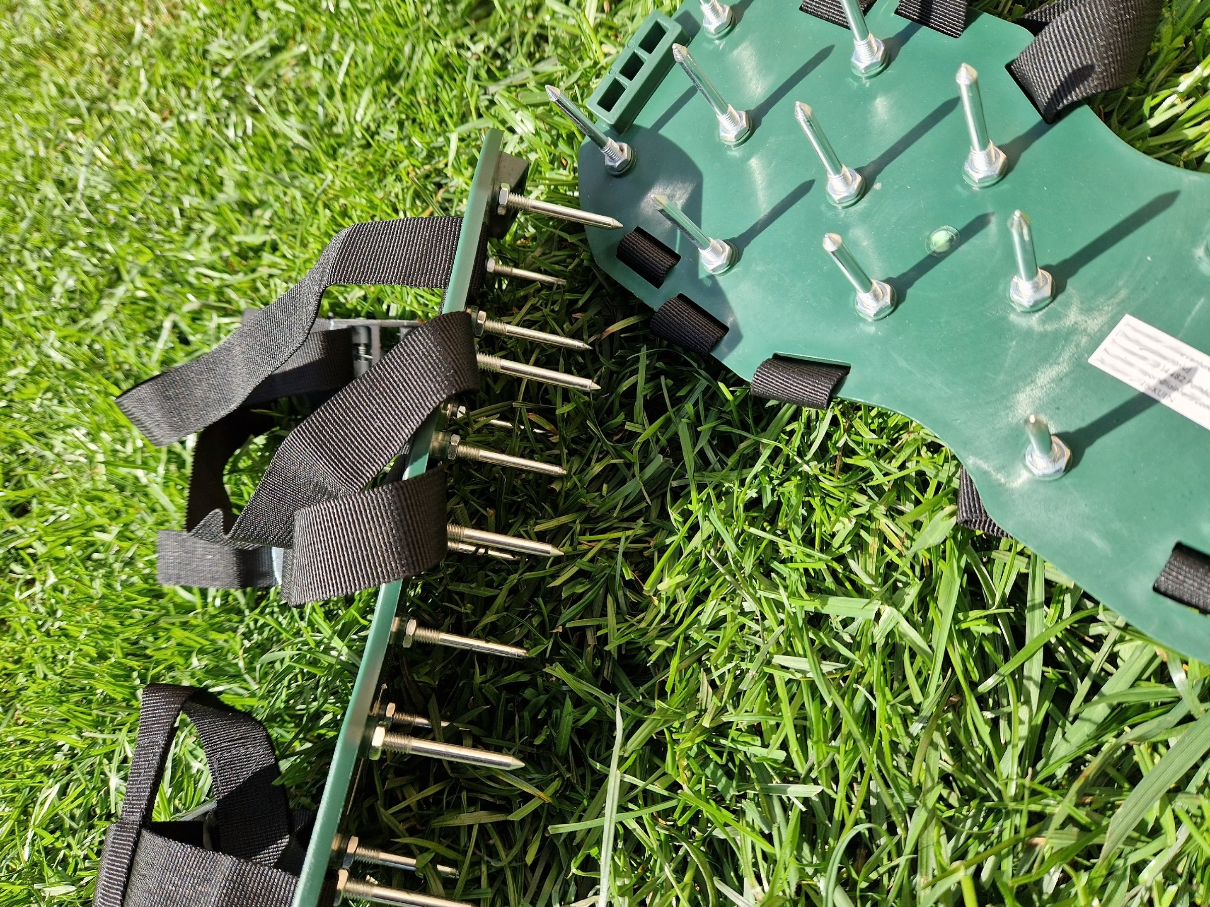 Lush green lawn with healthy grass