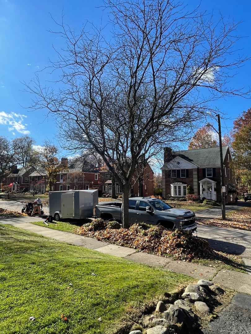 Other outdoor services