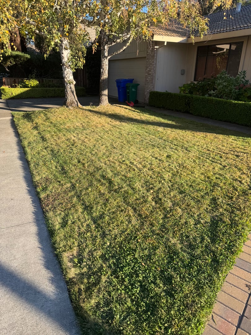 After lawn maintenance
