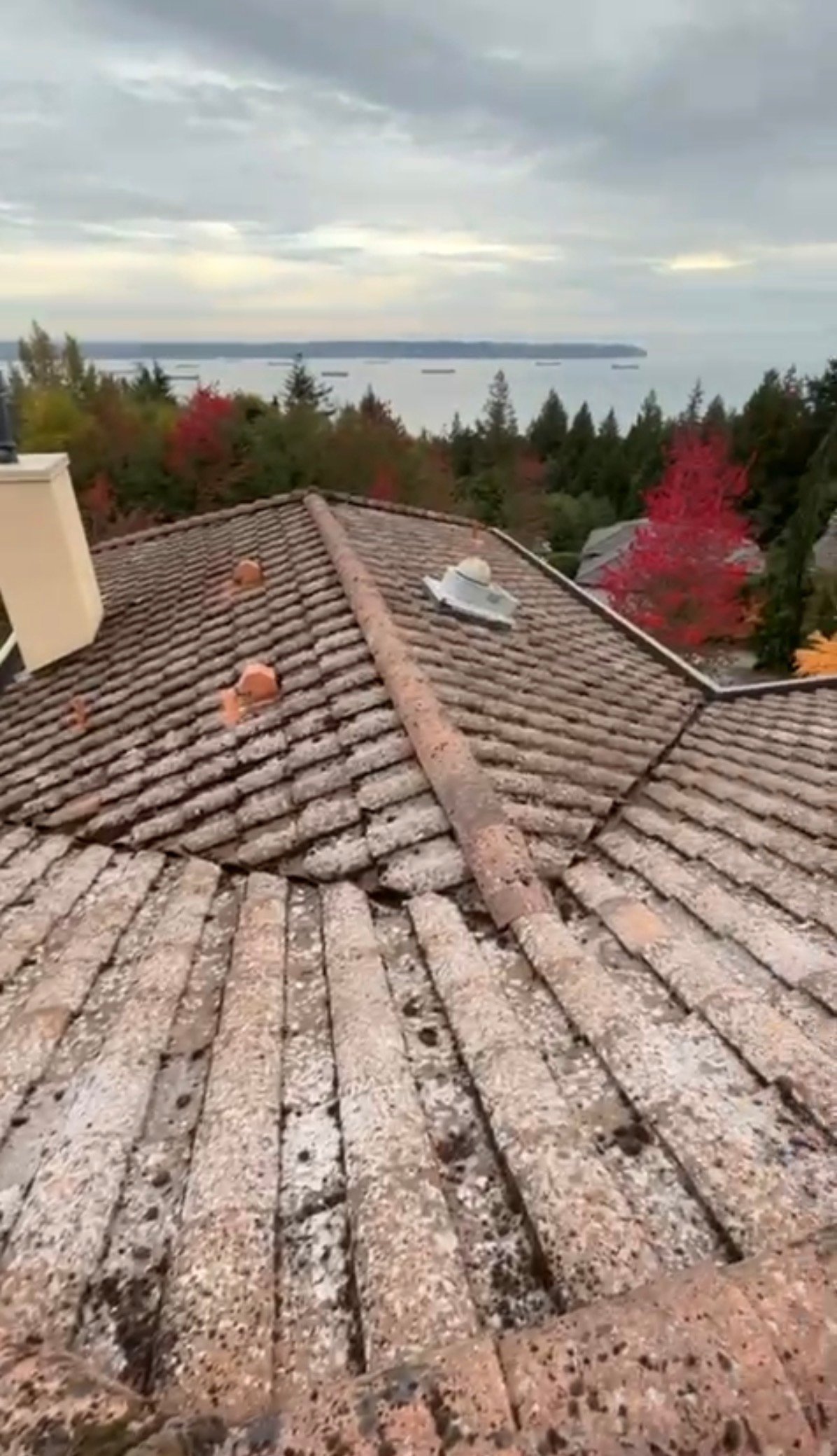 Roof before cleaning - moss and debris