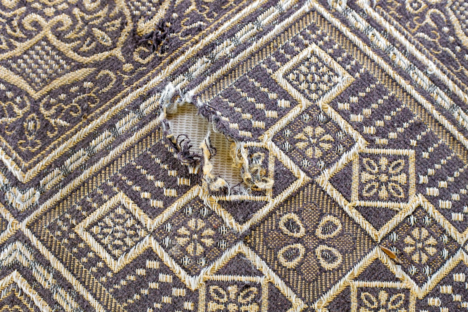 Rug moth damage on a wool area rug in an Atlanta home