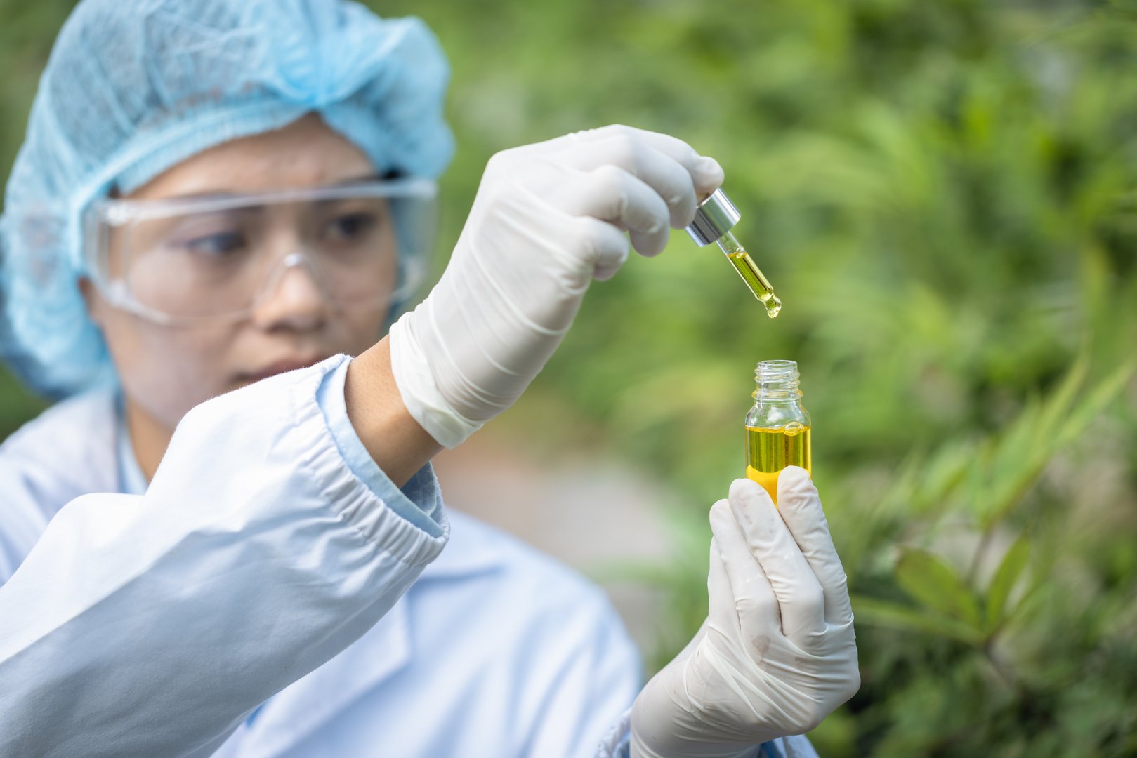 Farmer wearing  glove holding CBD oil bottle,  CBD hemp oil drops, Medical marijuana products including cannabis leaf,  alternative medicine.