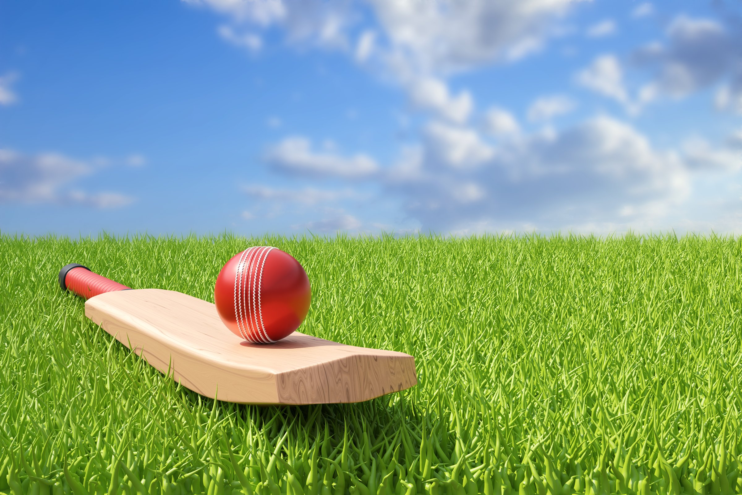 Cricket bat and ball on the grass. 3d-rendering