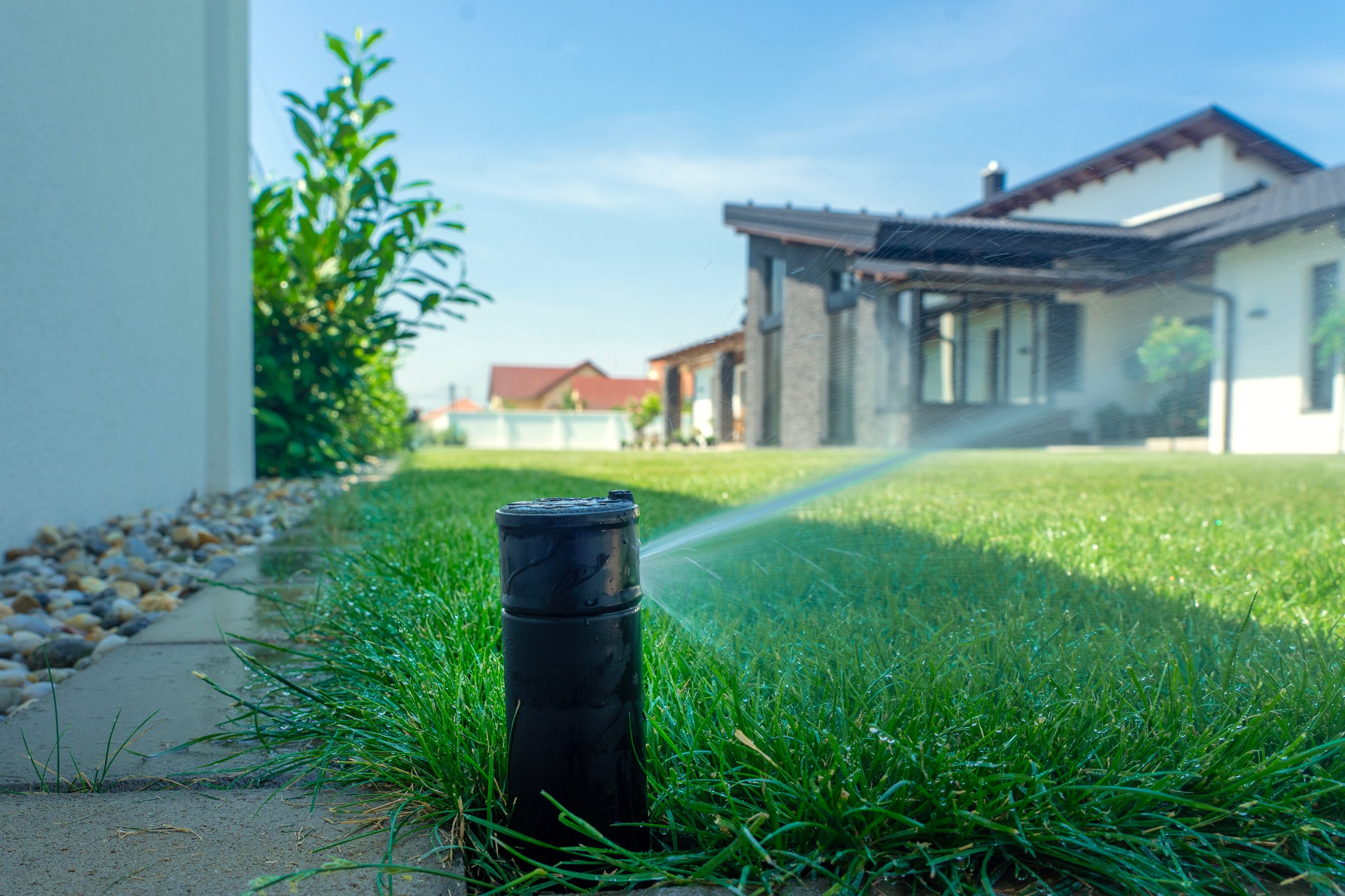 automatic watering system in the back yard garden with green grass .