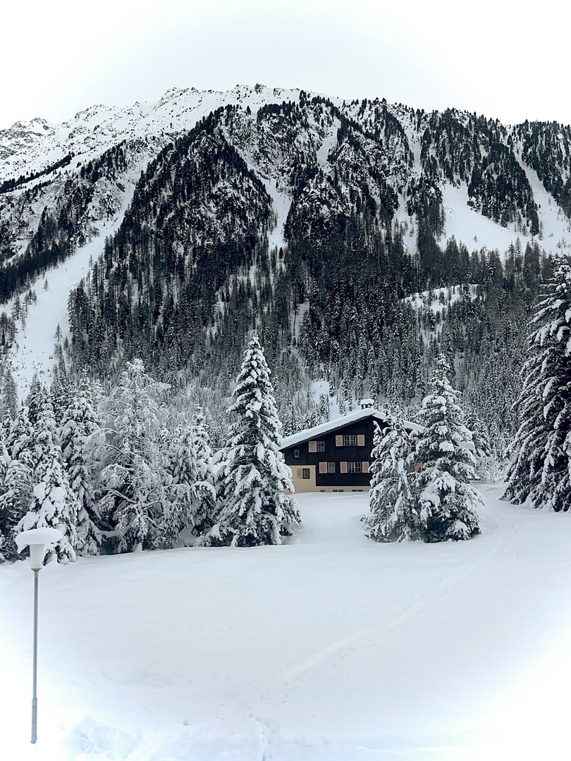 Luxury house nestled amongst snow-covered trees with mountain backdrop