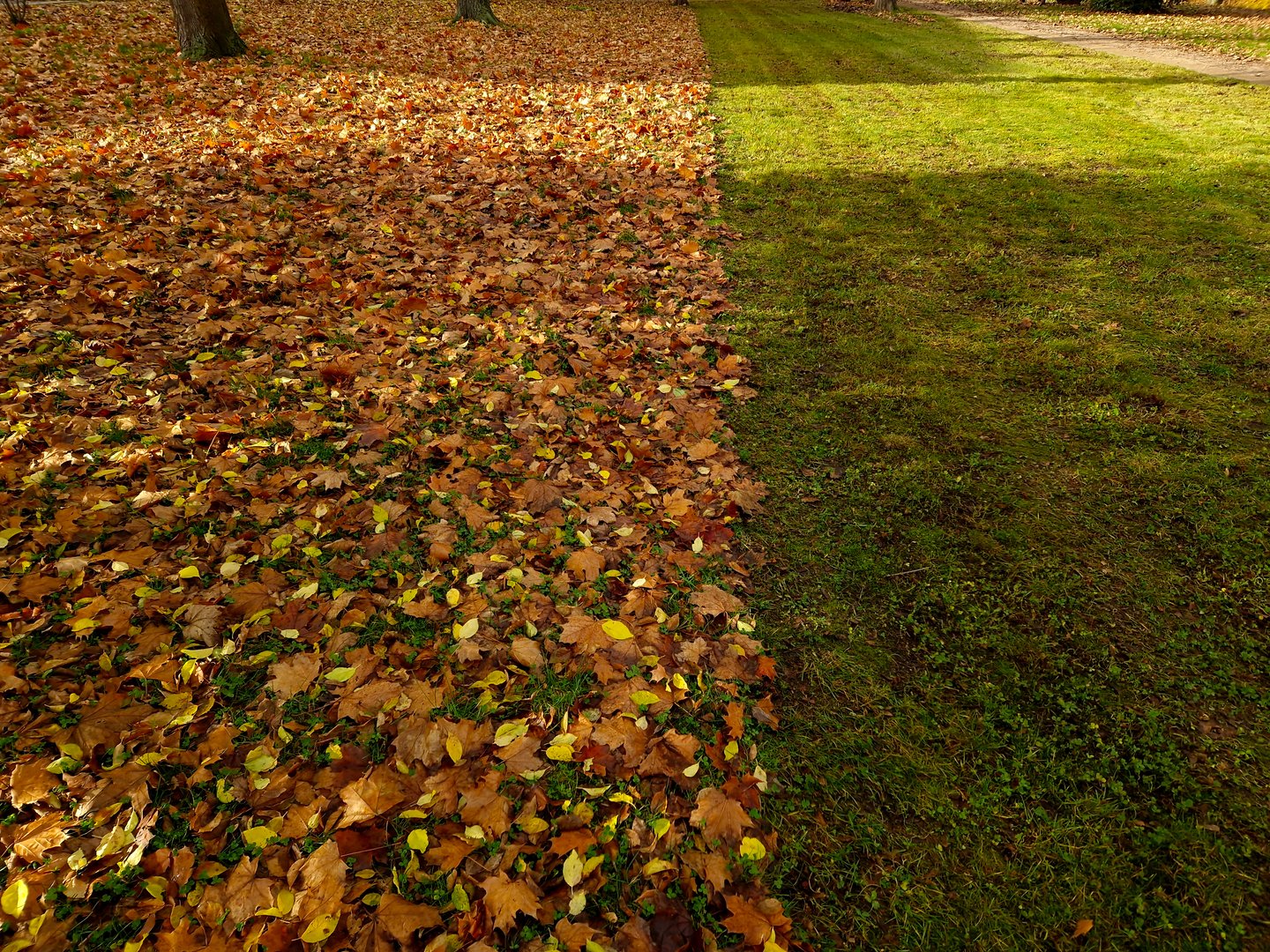 Mowing with leaf collection