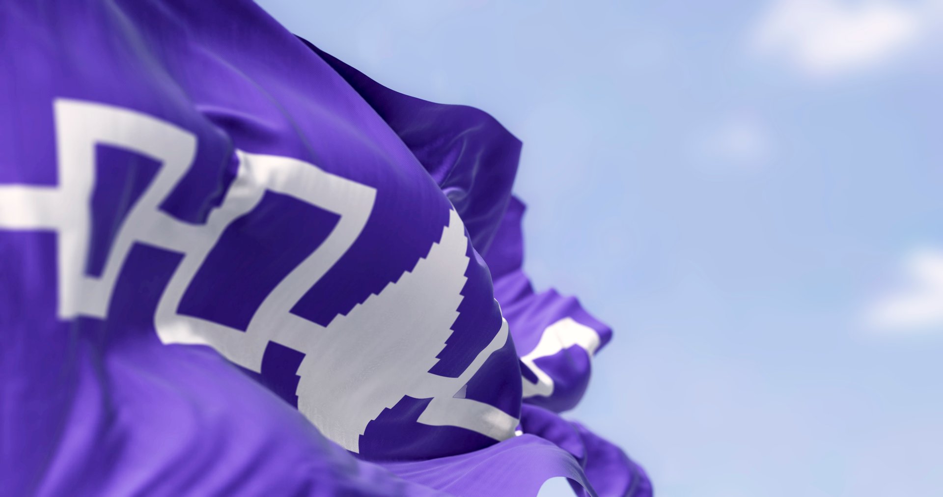 Close-up of Iroquois flag waving. Purple flag with four connected white squares and an eastern white pine tree in the center. 3d illustration render. Rippled fabric. Selective focus