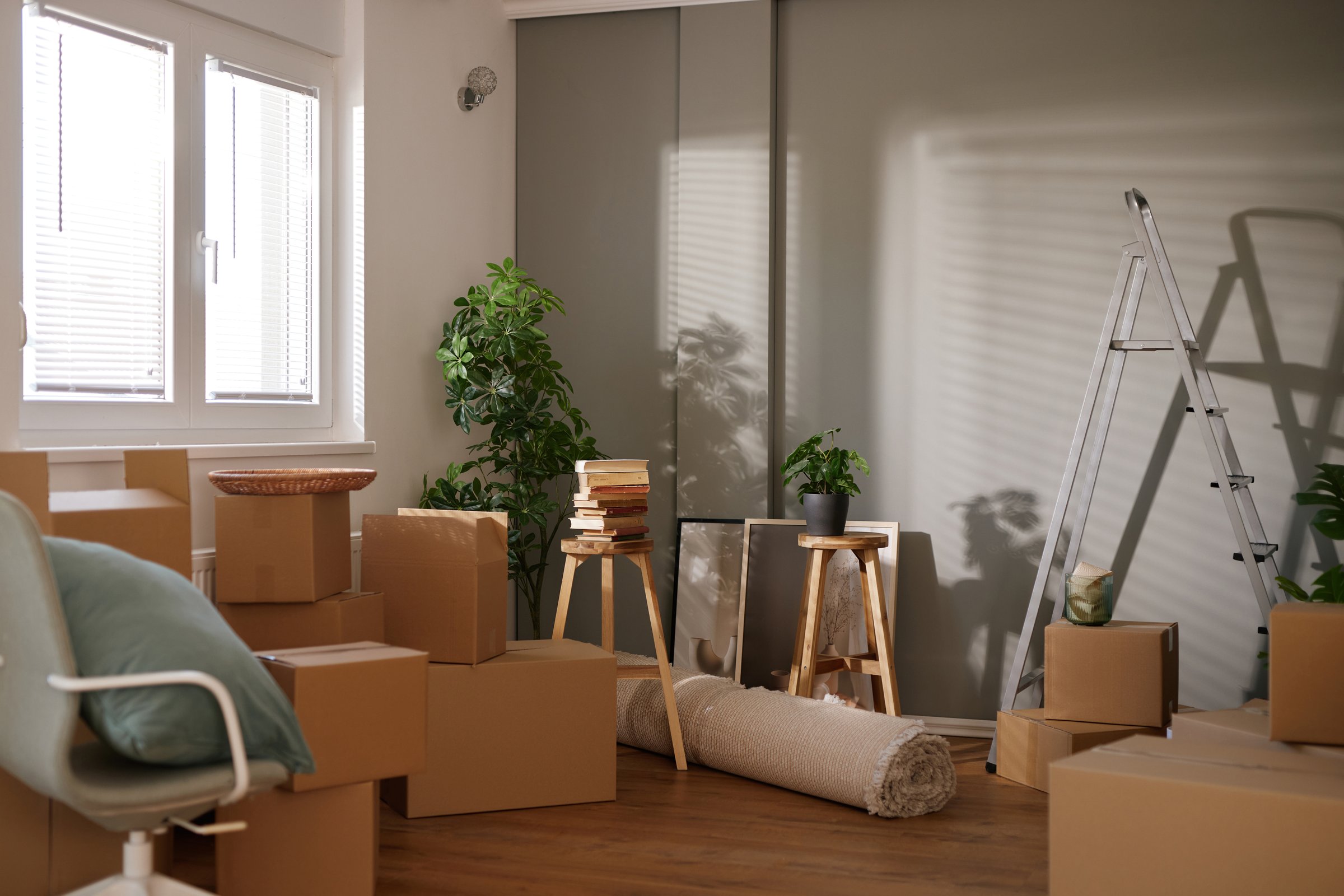 Cardboard boxes, plants, and furniture are placed in a new apartment during a move, symbolizing a fresh start and the excitement of settling into a new home