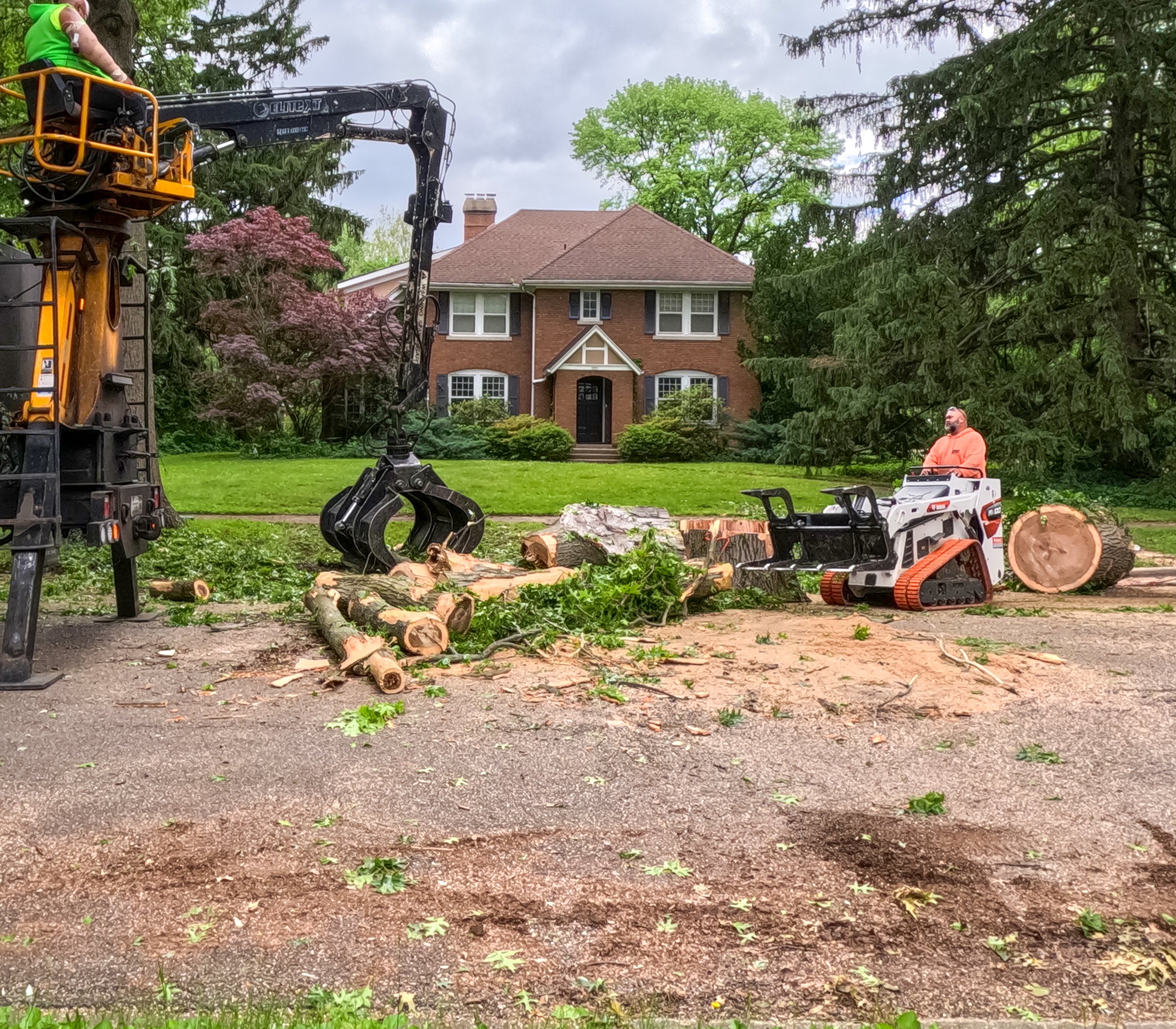 Springfield, Illinois, USA : May 21, 2025 Environmental cleanup following a natural disaster. Crew uses heavy equipment to remove a large tree that has fallen following severe storms. Residential neighborhood on a city street.