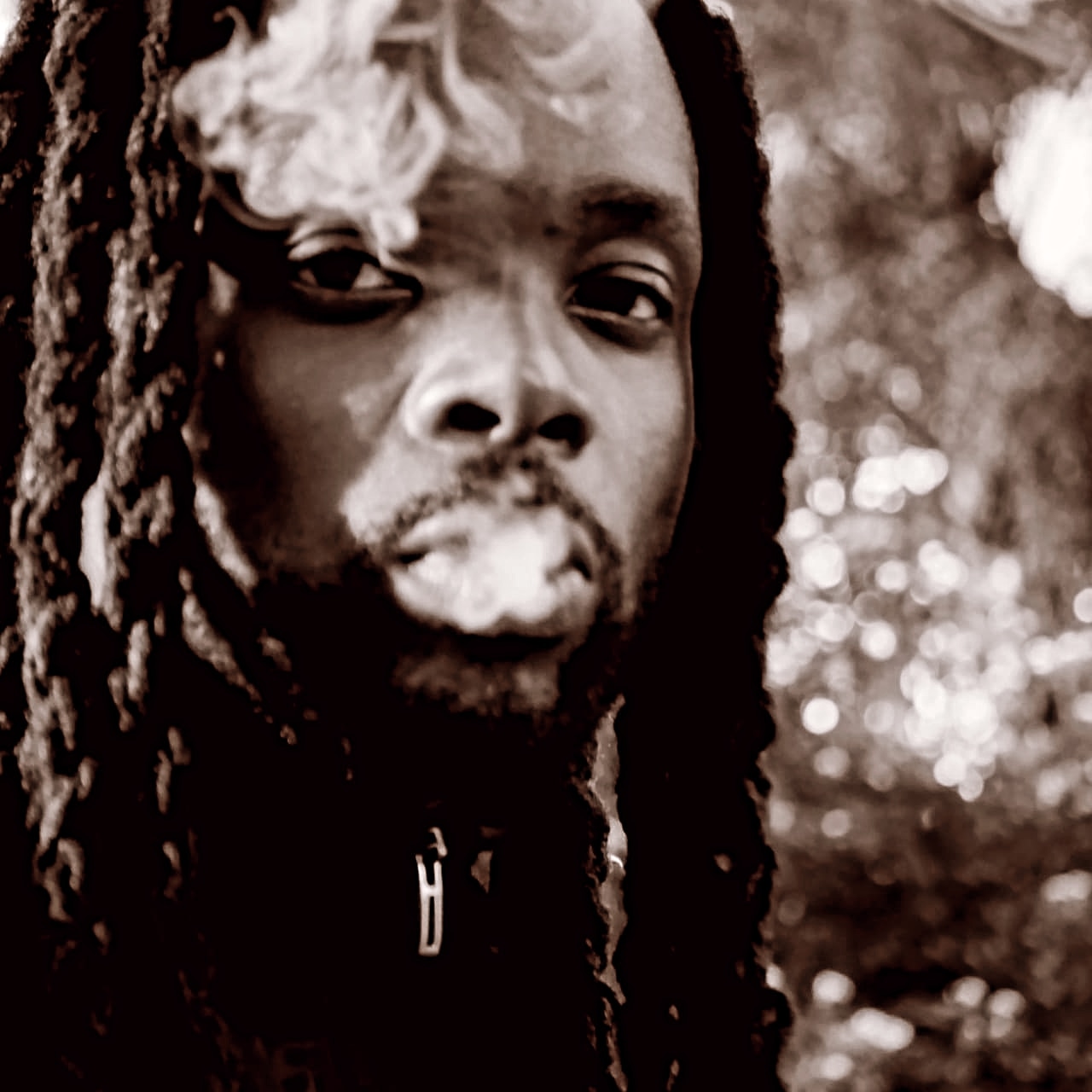 d'Mysfit - The Voice of Controlled Chaos