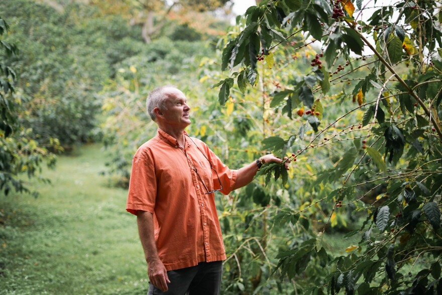 Kona Coffee Farm Tour