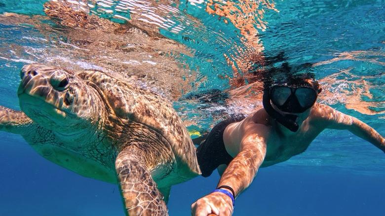 A person snorkeling underwater next to a sea turtle in clear blue waters.