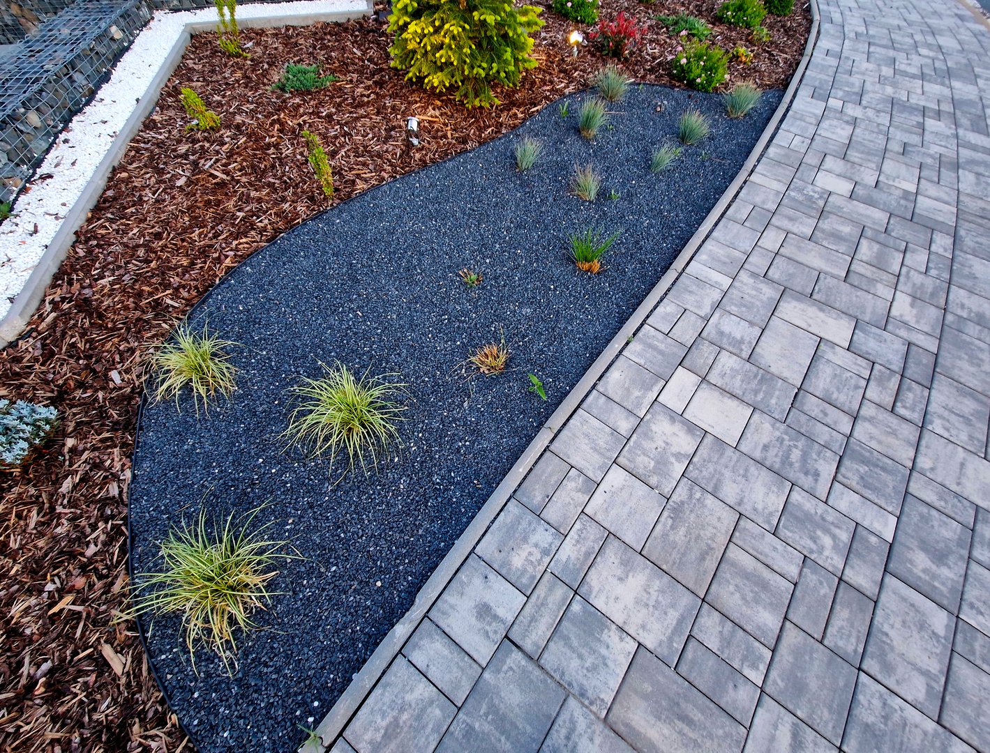 the curves of the beds and different types of mulching of the perennial bed with reflectors illuminating individual trees, curve, curves, fastigiata, nepeta faassenii, recessed lighting, tiles floor, nepeta faassenii
