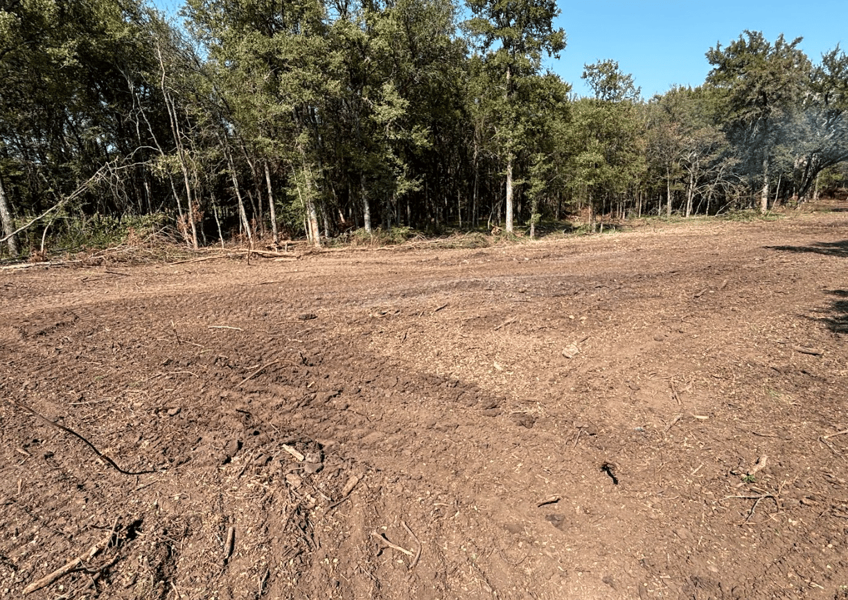 Land clearing project