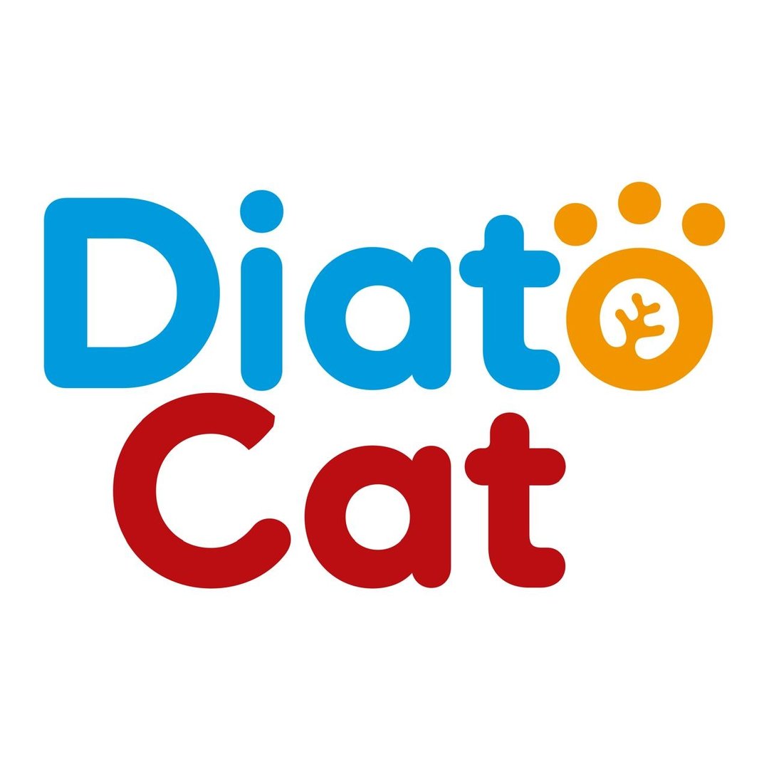 Digital Marketing Consulting