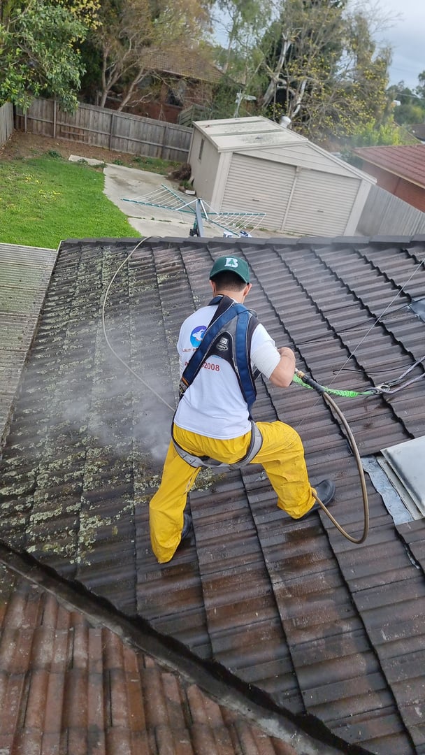 Professional roof cleaning and restoration work by Quality Painting Group