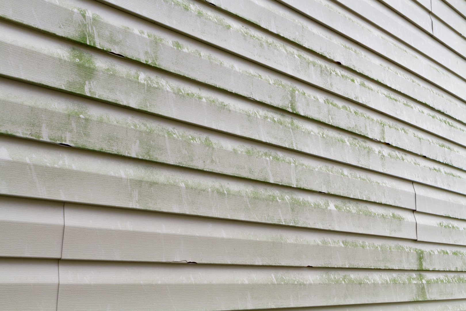 Green algae, mold, and dirty grime on a section of a residential homes' vinyl siding exterior. The green algae typically grows on the North facing side of a structure like it does on trees. This algae and grime is typically removed by pressure or power washing the siding. This siding was also recently damaged by a hail storm.