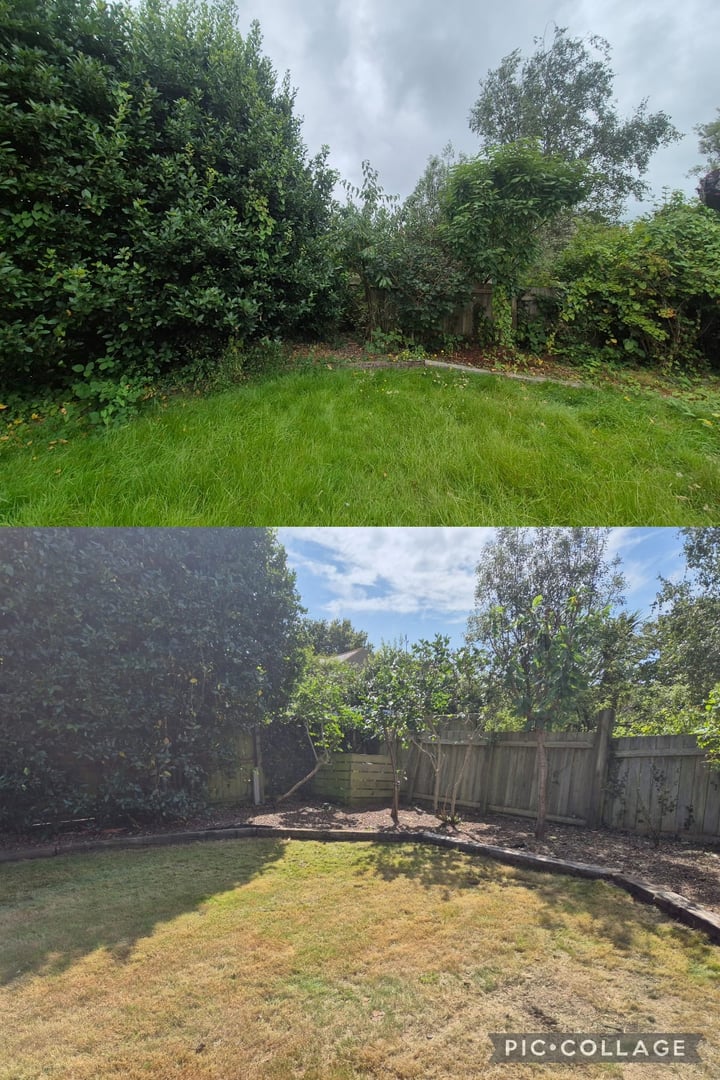 Garden project 3
