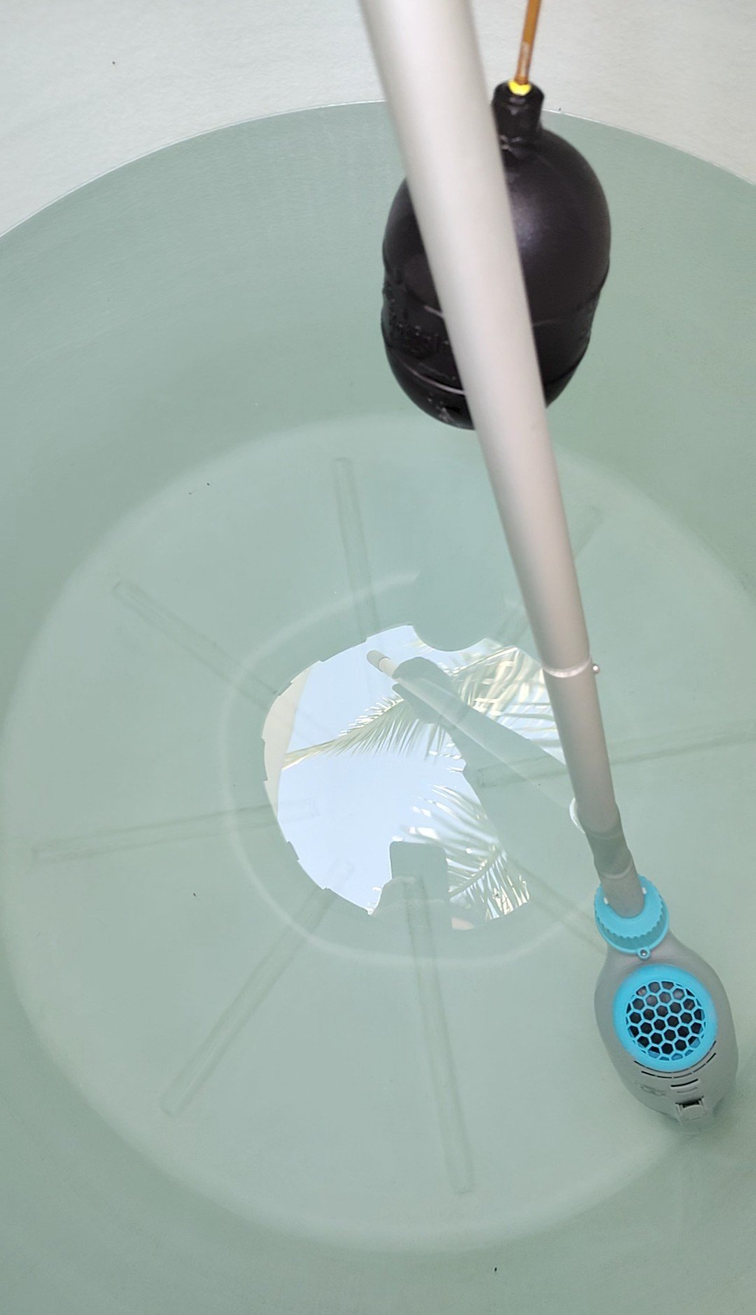 Tinaco limpio y cristalino después del servicio Clarina