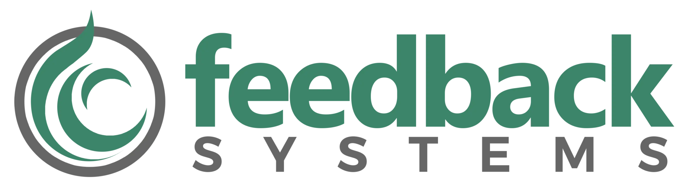Feedback Systems, Inc.