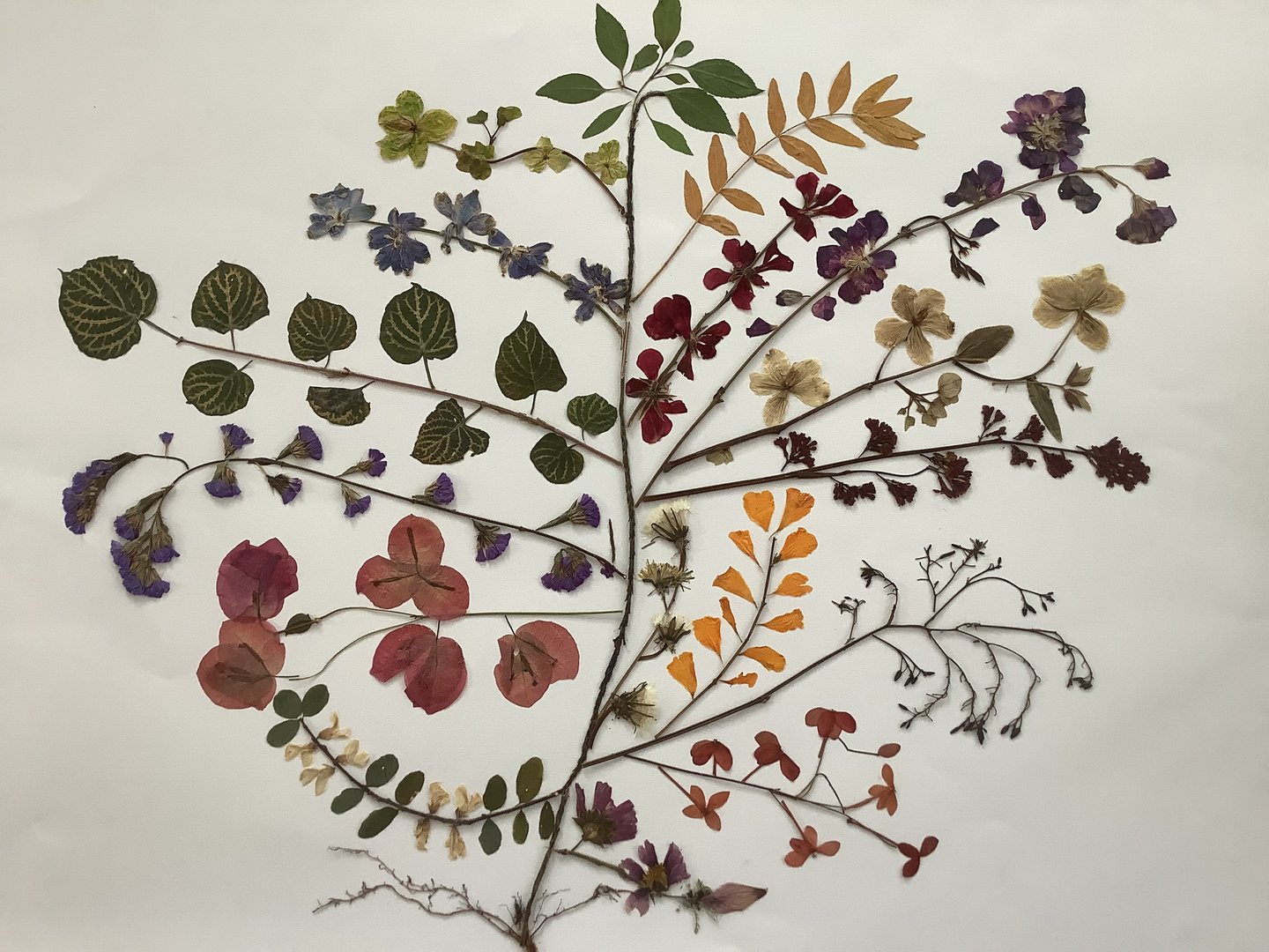 Pressed Flower Artwork 6