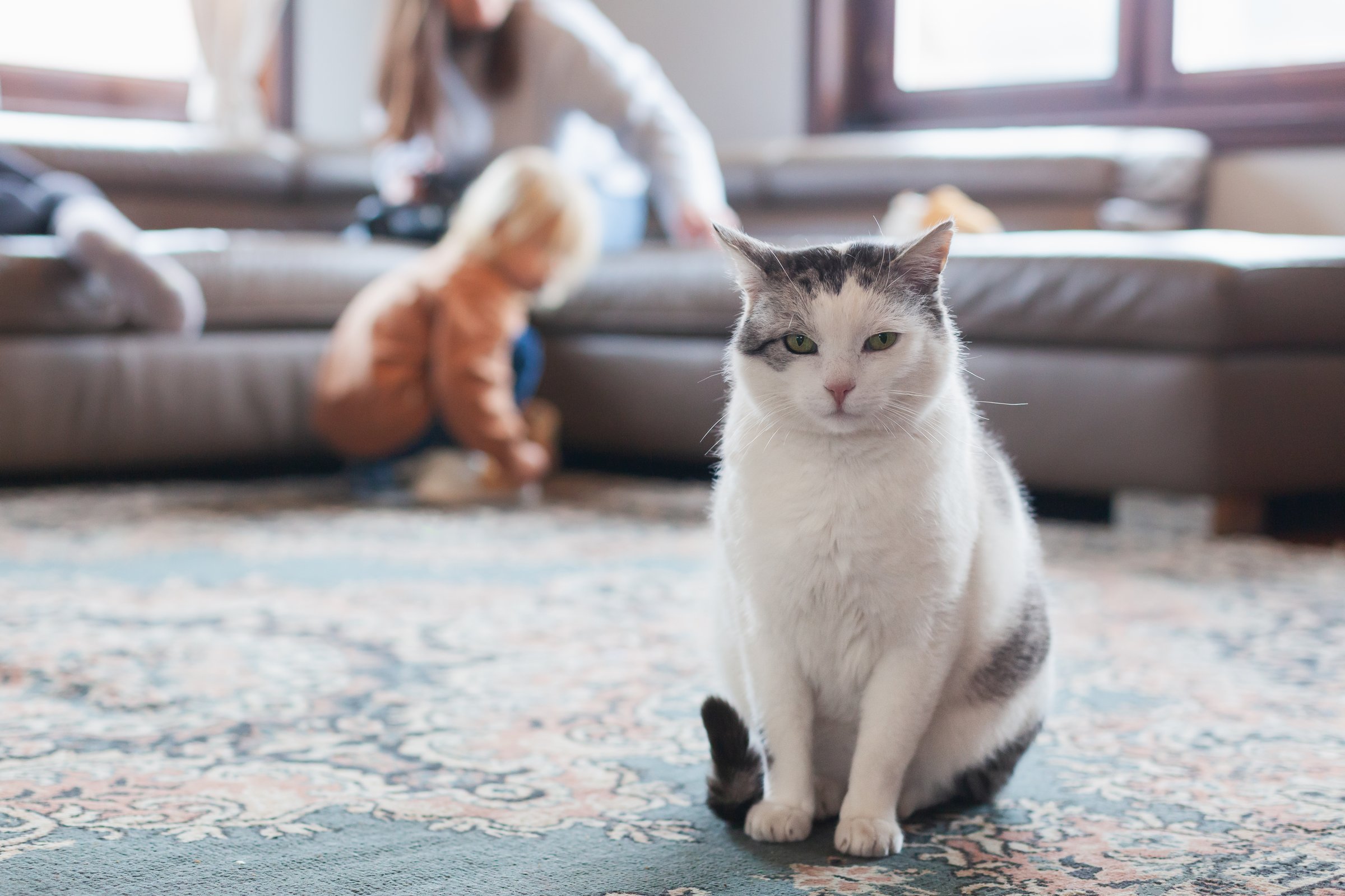 Happy family with children relaxing in Norcross living room with area rug - professional rug cleaning for homes with kids and pets in Atlanta GA