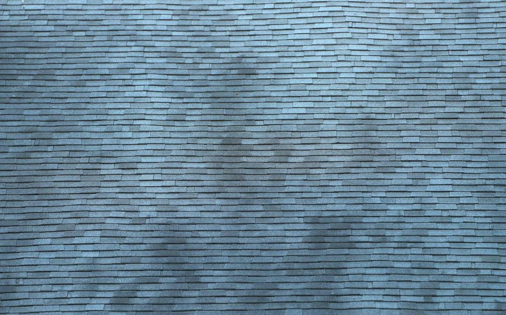 close up on old roof shingle