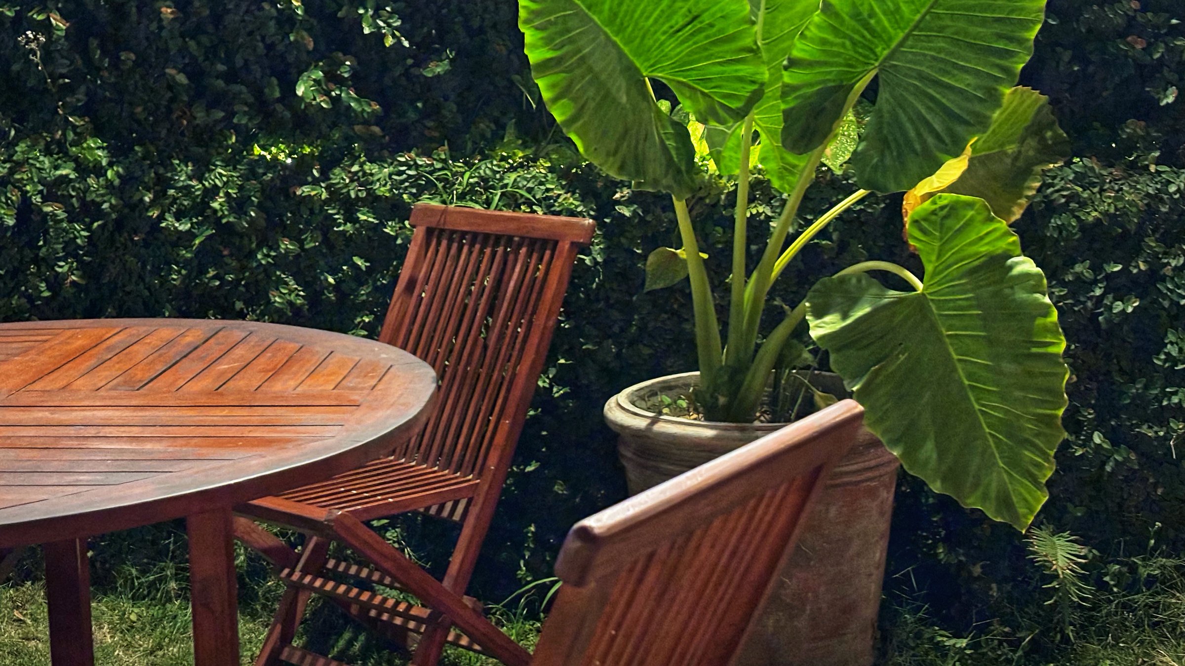 Table and chairs in garden