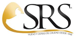 Easy Fit logo in orange and gray with by VivoFit in smaller text. The i is stylized with a dot emphasized.