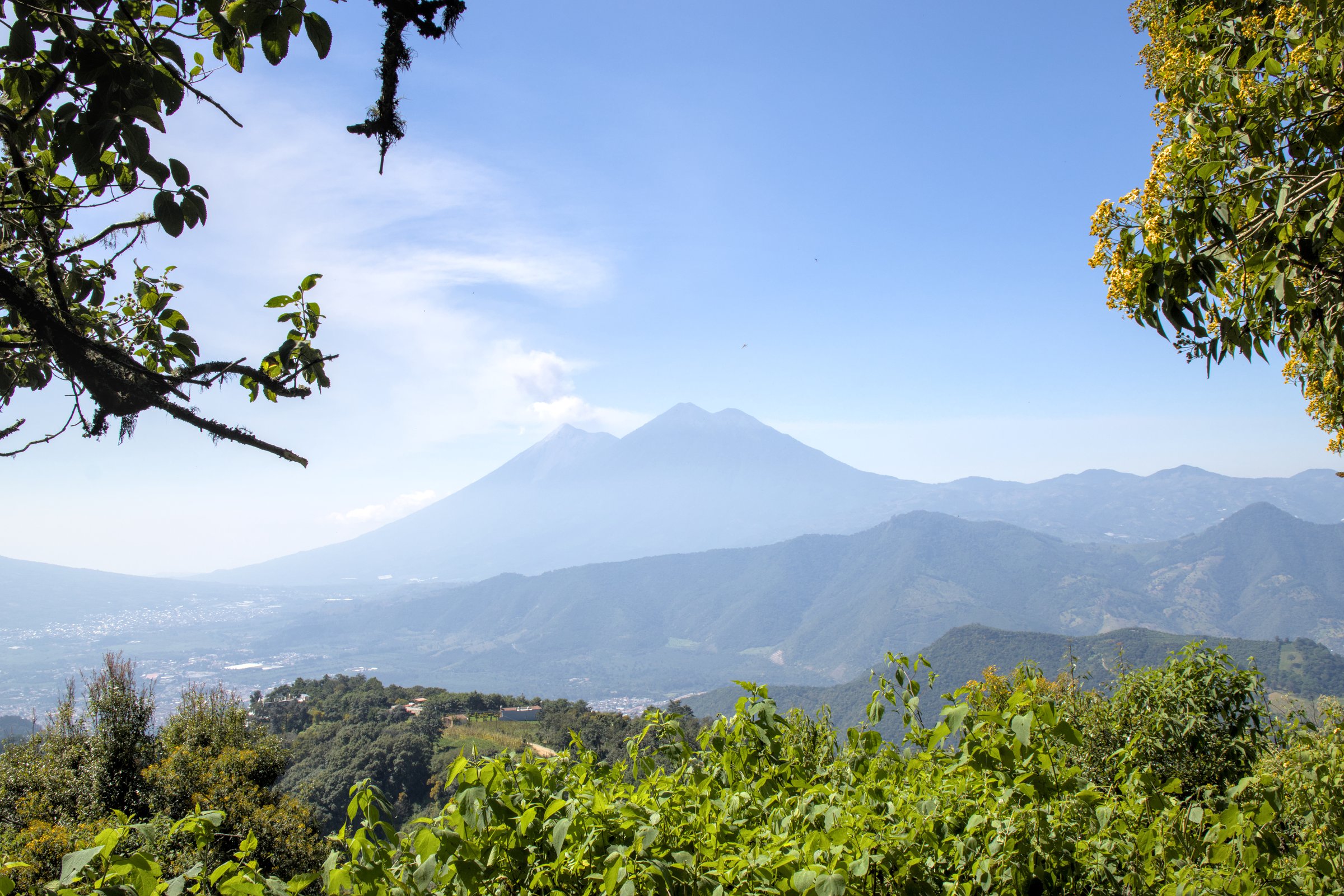 view of scenic volcanoes surrounded by trees in a famous public park in antigua guatemala (agua fuego acatenango volcano peaks mountains) hiking trail hike outdoor ecotourism travel outdoor adventure