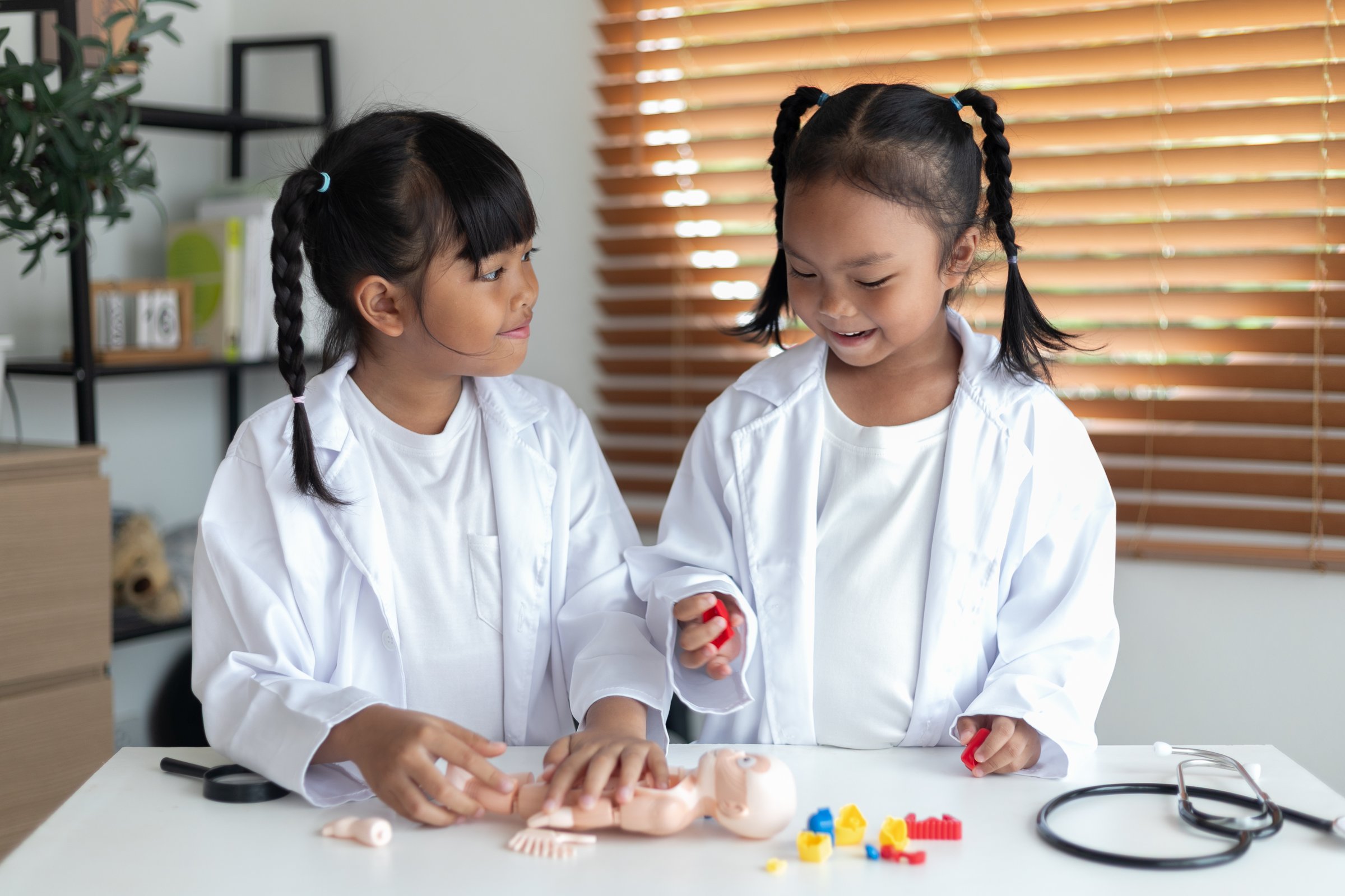 Two children in lab coats studying human anatomy with a toy organ model, concept of teamwork, medical education, healthcare training, science learning, and future doctor career inspiration.